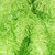 VIC-K162707 - 36" Lime Fir Teardrop 96T - Vickerman
