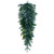 VIC-K224837LED - 36" Frstd Douglas Teardrop Dura-lit 50 Warm White - Vickerman