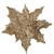 VIC-L250338UV - 12" Champagne Glitter Poinsettia UV, 2-Pack - Vickerman
