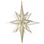 VIC-M148538 - 32" Champagne 3D Glitter Star - Vickerman