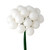 VIC-N180111 - 1" x 24pc White Shiny Ball Pick, 2-Pack - Vickerman
