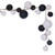 VIC-N222791 - 10' White/Black Branch Ball Garland - Vickerman