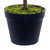 VIC-RS240332 - 32" Potted Green Norfolk Pine Tree - Vickerman