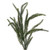 VIC-RS240420 - 28" Green Norfolk Pine Wreath - Vickerman
