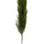 VIC-RS240430 - 63" Green Norfolk Pine Garland - Vickerman
