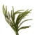 VIC-RS240524 - 24" Green Norfolk Pine Heart Wreath Jute - Vickerman