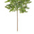 VIC-RY192026 - 26.5" Green Stovall Cedar Pine Spray 2Bg - Vickerman