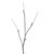 VIC-X221530 - 30" White Birch Branch Led40 Warm White B/O, 2-Pack - Vickerman