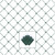 VIC-X4G4615CSA - 120 Lights 4'x6' LED Cool White/Green Wire WA Net - Vickerman