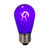 VIC-XS14TU06-10 - S14 Transparent Filament Purple Bulb .6W, 10-Pack - Vickerman