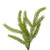 VIC-EH261128 - 28" Green Norfolk Pine Wreath FT - Vickerman