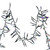 VIC-X24G3409 - 1000 Lights LED Pure White Cluster 34'Long Green Wire - Vickerman