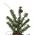 VIC-A807220 - 2' x 14" Alpine Tree W/Cones/Vine 105T - Vickerman