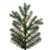 VIC-G263585 - 10' x 66" Downswept Douglas Fir 4576T - Vickerman