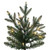 VIC-G261285 - 10' x 61" Midwest Fraser Fir 7888T - Vickerman