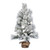VIC-D191030 - 36" Frosted Beacon Pine Tree 82Tips - Vickerman