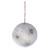 VIC-RXT261611 - 6" White Icy Birch Ball, 2-Pack - Vickerman