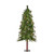 VIC-A801931LED - 3' x 24" Mix Country Tree LED 50 Warm White - Vickerman