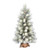 VIC-D182240 - 48" Norfolk Frsted Pine Tree Burlap Base - Vickerman