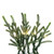 VIC-A261318LEDCC - 9' x 16" Norfolk Pine Garland 5mm 100 CC FT - Vickerman