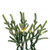 VIC-A261349LEDCC - 48" Norfolk Pine Wreath 5mm 200 CC - Vickerman