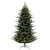 VIC-G211487LED - 10' x 68" N Shore Fraser Dura-lit 1300 MU - Vickerman