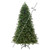 VIC-DT2541888LEDCC - 10' x 75" Northern Blue Spruc 5mm 1900 CC - Vickerman