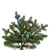VIC-DT2541888LEDCC - 10' x 75" Northern Blue Spruc 5mm 1900 CC - Vickerman