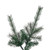 VIC-A250585 - 10' x 64" Slim Lodge Pole Pine 3070T - Vickerman
