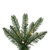 VIC-A254183LEDCC - 9' x 40" Frosted Provo Pine 5mm 650 CC - Vickerman