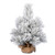 VIC-D190820 - 24" Frosted Beckett Pine Tree 21Tips - Vickerman