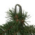 VIC-DT210614 - 9' x 14" Emerald Mixed Fir Garland 384T - Vickerman