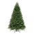 VIC-DT213565 - 6.5' x 52" Tiffany Fraser Fir 4243T - Vickerman