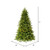 VIC-DT214266LED - 6.5' x 48" Jersey Fraser Dura-lit 500 Warm White - Vickerman
