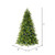 VIC-DT214268LEDCC - 6.5' x 48" Jersey Fraser Fir LED 500 CC - Vickerman