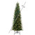 VIC-DT235668LEDCC - 6.5' x 36" Wistler Spruce 5mm 350 CC - Vickerman