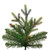 VIC-DT235683LEDCC - 9' x 48" Wistler Spruce 5mm 800 CC - Vickerman