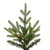 VIC-DT250363LEDCC - 6' x 44" Norway Spruce 5mm 400 CC - Vickerman