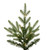 VIC-DT250378LEDCC - 8' x 58" Norway Spruce 5mm 750 CC - Vickerman