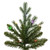 VIC-DT256268LEDCC - 6.5' x 54" Nordmann Fir 5mm 700 CC - Vickerman