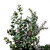 VIC-EH214426 - 26" Snow Cedar/Eucalyptus Wreath - Vickerman