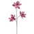 VIC-EH235503 - 27" Red/White Poinsettia Spray, 2-Pack - Vickerman
