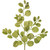 VIC-FK221125 - 25" Lime Dogwood Glitter Spray, 3-Pack - Vickerman