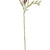 VIC-FNT222338 - 38" Frstd Glttr Pepper Berry Spray, 4-Pack - Vickerman