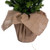 VIC-G231537LEDBO - 36" x 21" Cobby Spruce Tree BO 50 Warm White - Vickerman