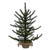 VIC-G252031LED - 3' x 28" Tabiona Pine 100 Warm White WA LED - Vickerman