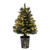 VIC-K191126 - 26" Potted Cone Topiary Dura-lit 100 CL - Vickerman