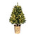 VIC-K191126LED - 26" Potted Cone Topiary Dura-lit 100 Warm White - Vickerman