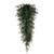 VIC-K230807 - 36" Georgian Fraser Fir Tear Drop 422Tips - Vickerman