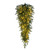 VIC-K230809LED - 36" Georgian Fraser Tear Drop 3mm 250 Warm White - Vickerman